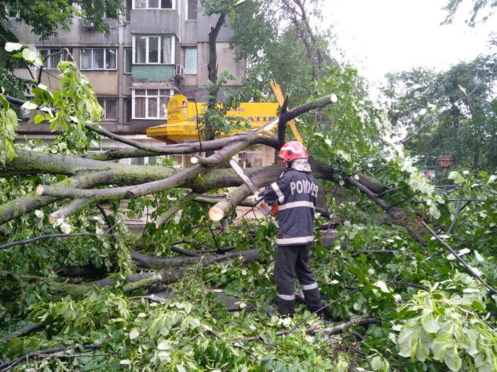 Furtuna a rupt zeci de copaci FOTO: ISU Brăila