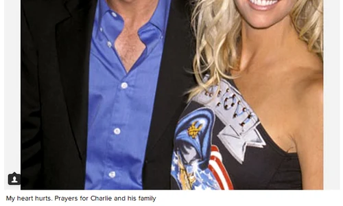 vedete apropiate lui charlie sheen png