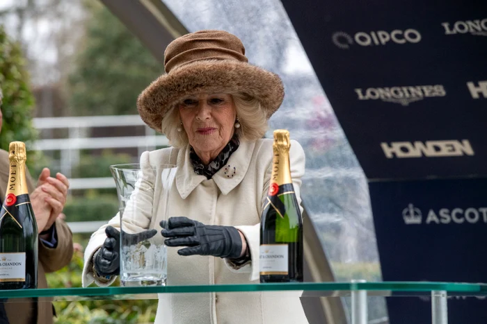Camilla la Betfair Ascot Chase Raceday, Profimedia (7) jpg