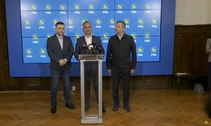 pnl jpg