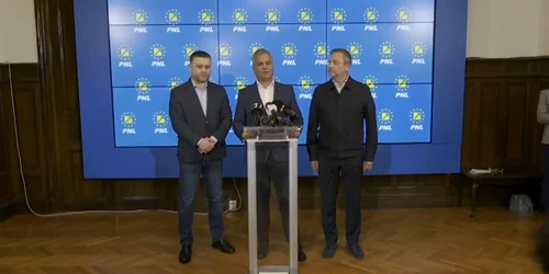 pnl jpg