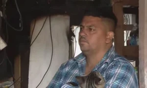 pisica salvatoare incendiu captura video jpg