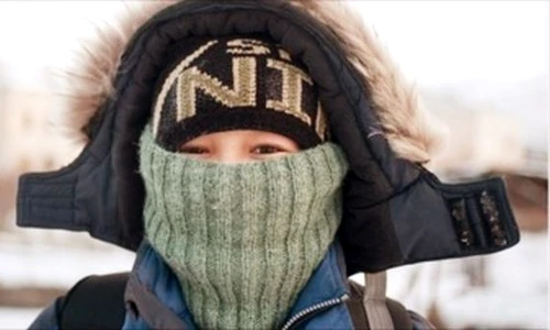 1 84785 original jpg jpeg