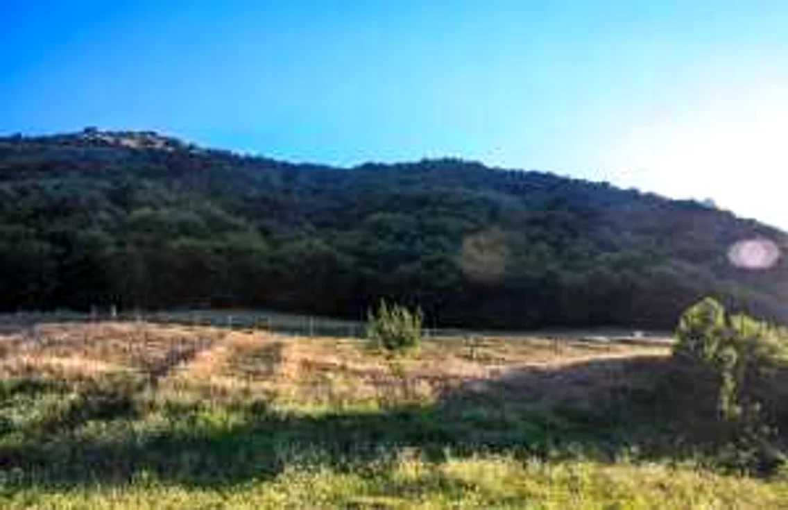 Lechinta  6