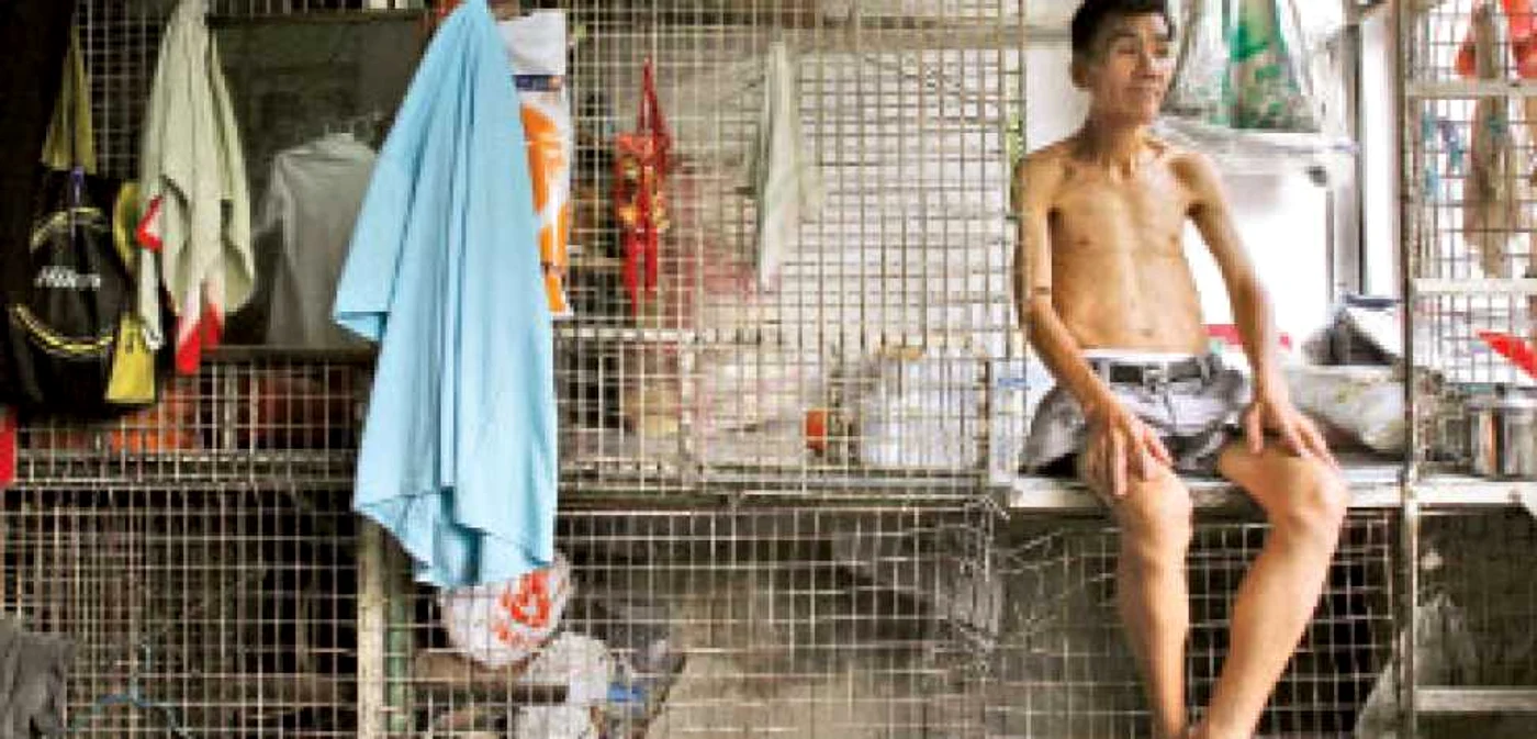 Locuinţele-cuşti din Hong Kong