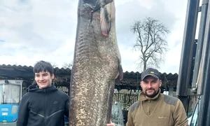 634126491 25861804303482099 6715739195124523553 n jpg