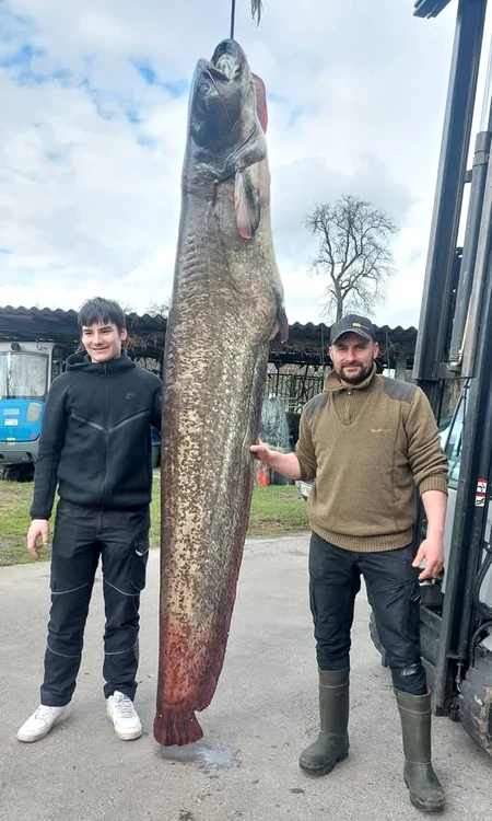 Un pescar austriac a prins un somn de 109 kilograme / FOTO: Facebook