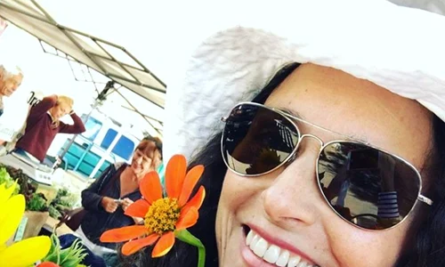 Julia Louis Dreyfus png