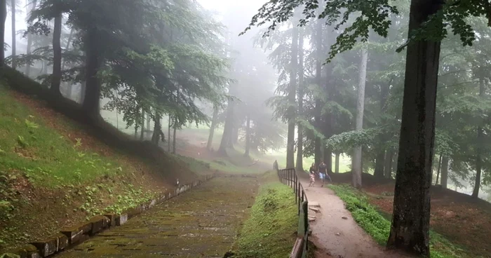 În această vară au avut loc săpături în zona din vecinătatea drumului pavat. FOTO: Daniel Guţă. ADEVĂRUL.