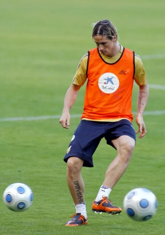 FOTBAL: Torres vrea ca Franţa să ajungă la Campionatul Mondial