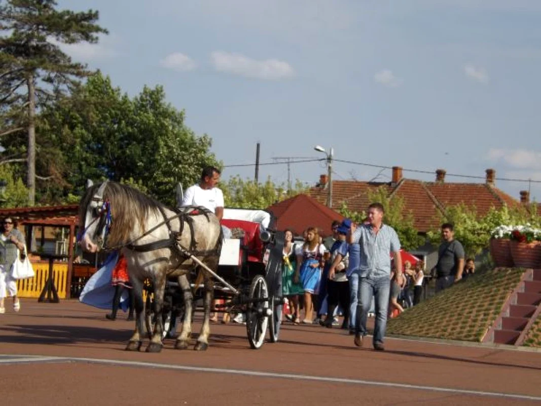 festivalul berii la Turnu Severin FOTO Corina Macavei 