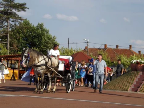 festivalul berii la Turnu Severin FOTO Corina Macavei