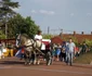 festivalul berii la Turnu Severin FOTO Corina Macavei 