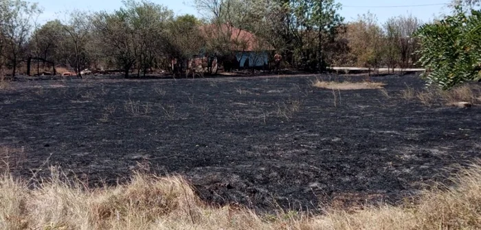 incendii vegetatie uscata