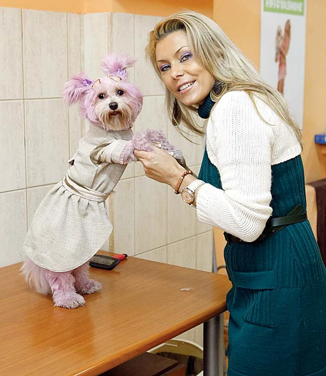 
    Jasmine, pe vremea când  o avea şi pe Fifi, dar şi  salonul pentru câinifoto: click!  
