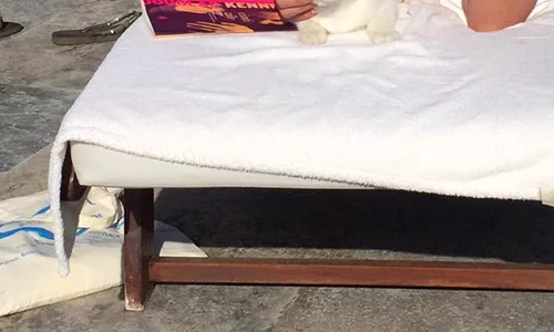 12243400 10207280179076935 415079851171008804 n jpeg