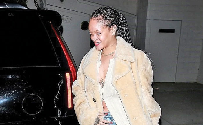 
    Diva a ieşit la plimbare în Santa MonicaFoto: Profimedia  