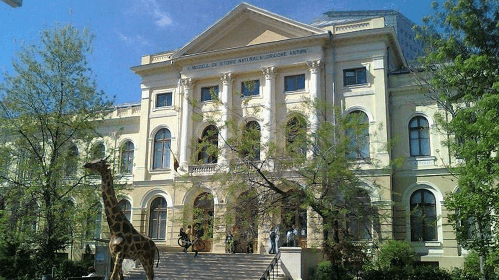 Persoanele cu nume de animale au acces gratuit, marți, la Muzeul Antipa