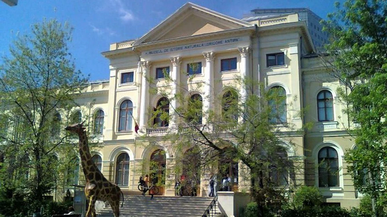 Muzeul de Istorie Naturală şi Antichităţi ”Grigore Antipa” FOTO: arhivă