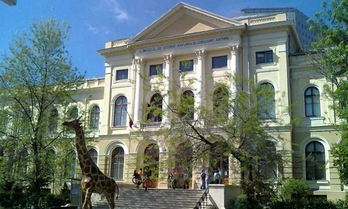 Muzeul Antipa nu se va deschide din 15 mai jpeg