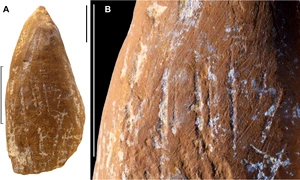 Un „creion” de ocru folosit de neanderthalieni în urmă zeci de mii de ani (© d'Errico et al., Sci. Adv. 11, eadx4722; CC BY 4.0)