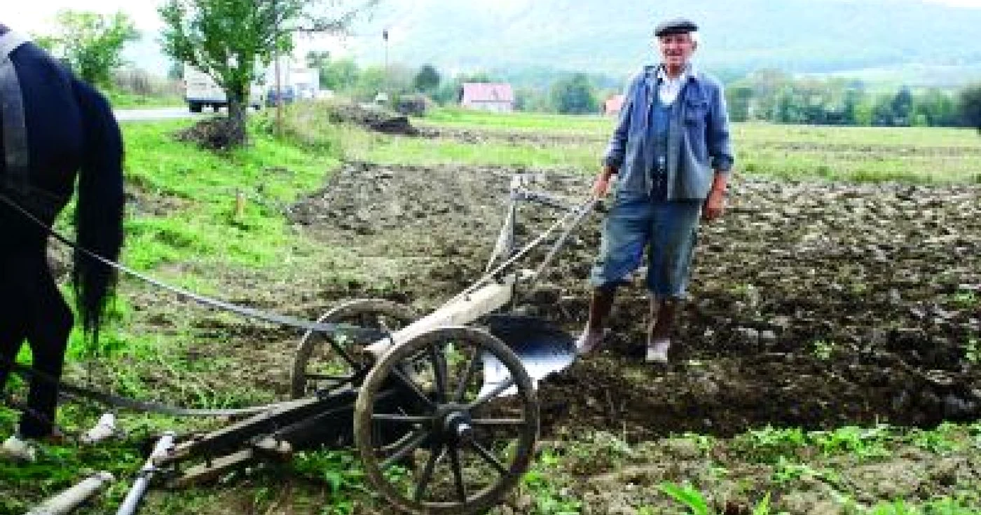 Craiova: Bătrânii ţărani vor fi nevoiţi să îşi lucreze singuri pământul