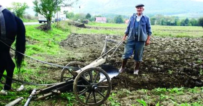 Craiova: Bătrânii ţărani vor fi nevoiţi să îşi lucreze singuri pământul