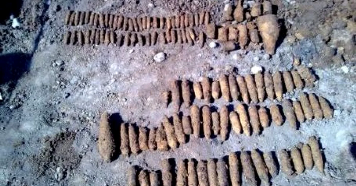 Cartuşele au fost asanate de pompierii mureşeni foto Arhivă
