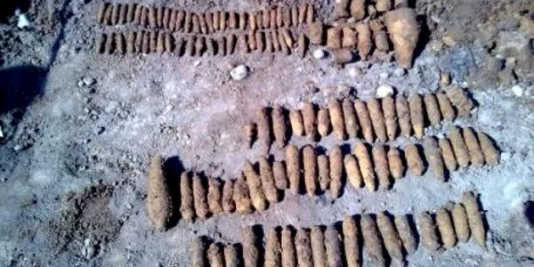 Cartuşele au fost asanate de pompierii mureşeni foto Arhivă