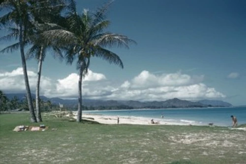 ff8f7396b314b6031031e225b72d6e6f jpg jpeg