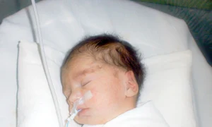 CLIIMA20120325 0071 1 jpeg