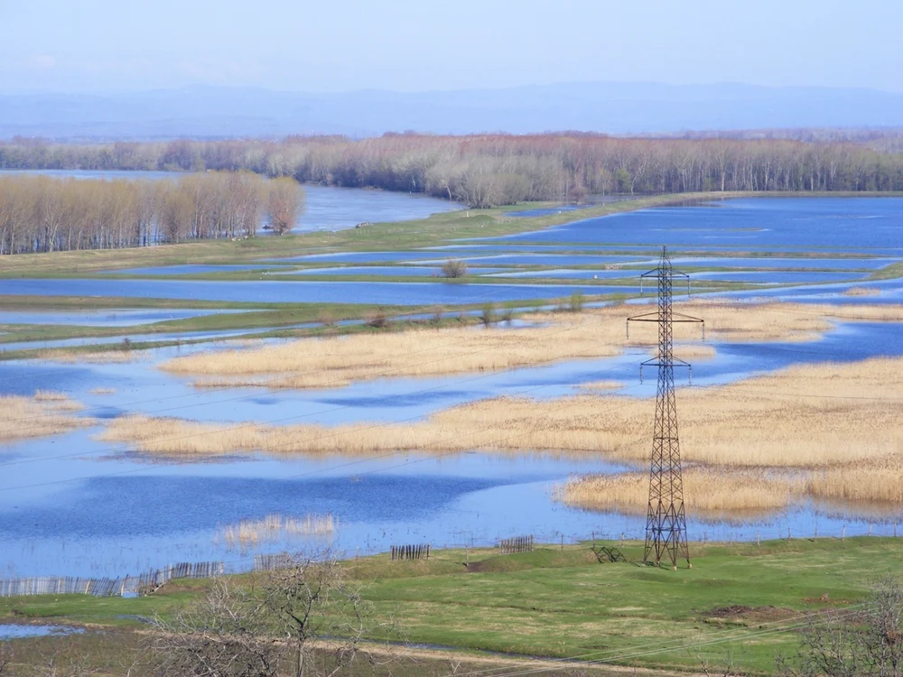Dunărea este singurul fluviu din Europa care curge de la vest la est