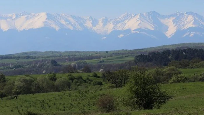 Foto Laurenţiu Sfinteş