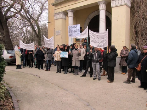 protest biblioteca pedagogica nationala marina stan 1