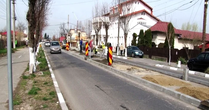 alveola dn 7 gaesti