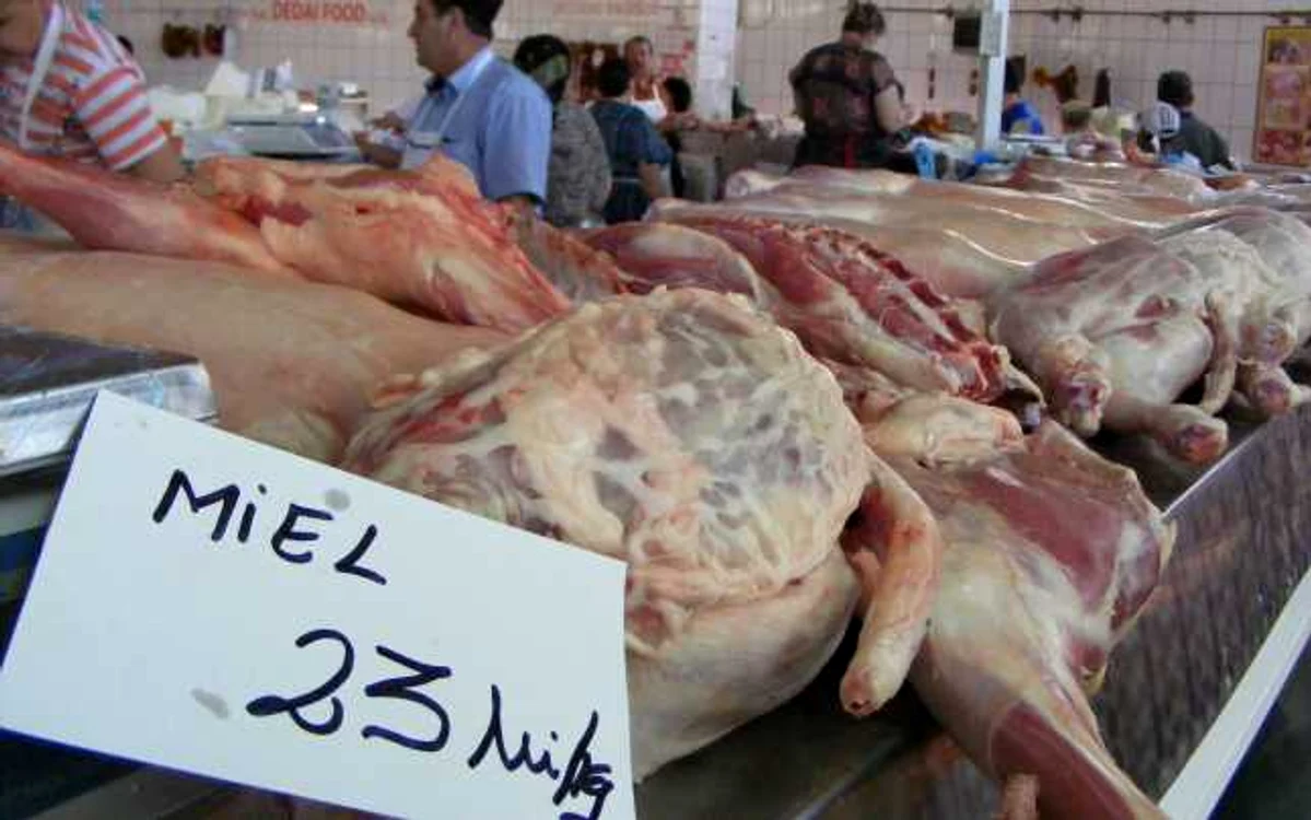 Specialiştii anunţă că se poate deosebi foarte uşor carnea de miel de cea de câine