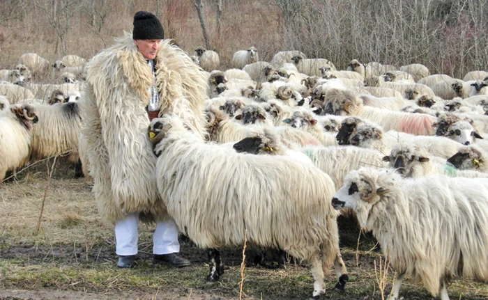 Ştefan Gros şi-a trăit viaţa alături de oiţe, în inima muntelui