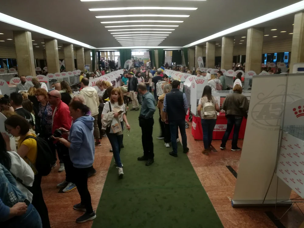 „Salonul International Felin Bucuresti-Sofisticat” martie 2023