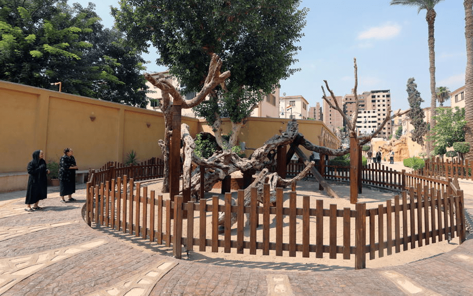 „Copacul Fecioarei Maria'', un sit istoric din Egipt, redeschis pentru turişti