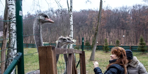 Vizitatori se uită la struţi pe fosta moşie a fostului preşedinte Viktor Ianukovici care este acum un muzeu în Novi Petrivtsi Ucraina FOTO Guliver/Getty Images