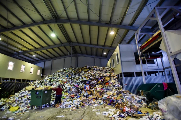 Doar cartonul ondulat, revistele, cărţile şi maculatura netocată pot fi reciclate, la ora actuală, în România FOTO Silvana Armat