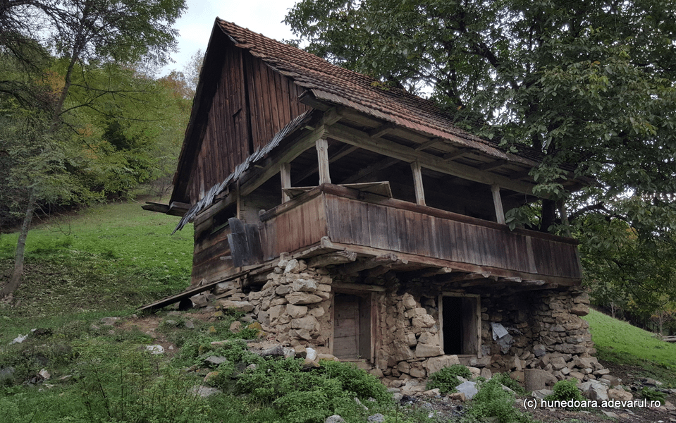 Satele-fantomă din România înghițite de pădure. Timpul a stat în loc în așezările dispărute VIDEO