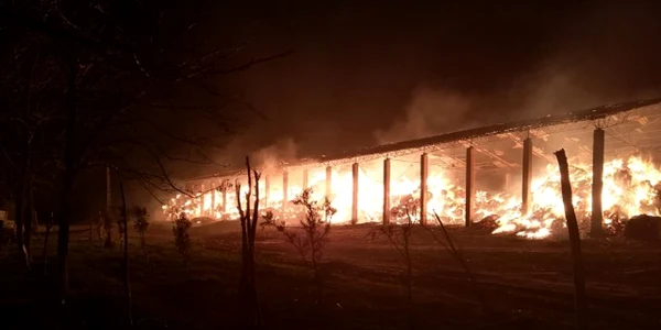 Incendiu la Herghelia Mangalia FOTO ISU Dobrogea
