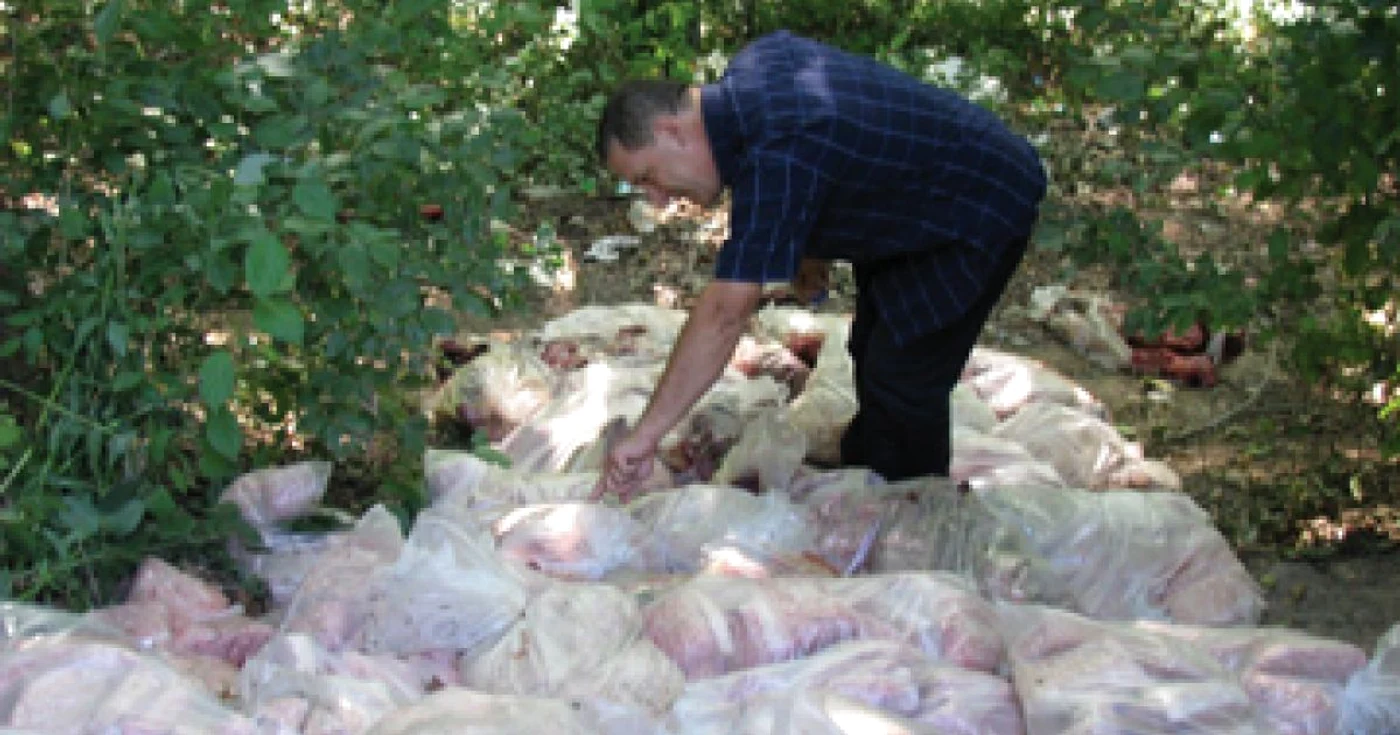 Bacău: Societatea care a aruncat tone de carne în pădure a fost amendată (UPDATE)
