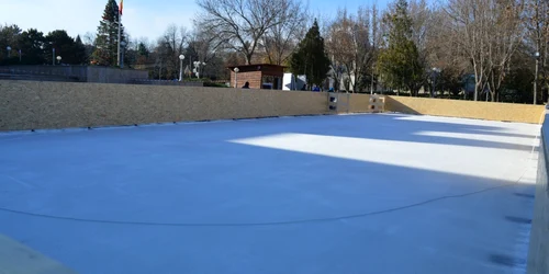 calarasi patinoar