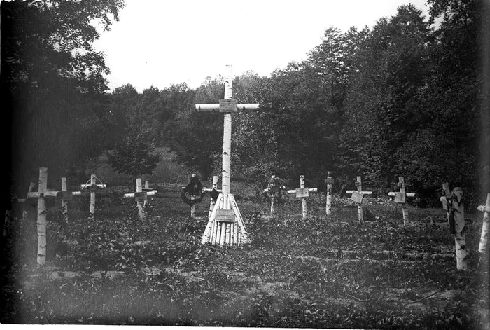 Luptele crâncene de la Oituz şi Caşin. Cimitir improvizat,  cruci de mesteacăn într-o poiană.