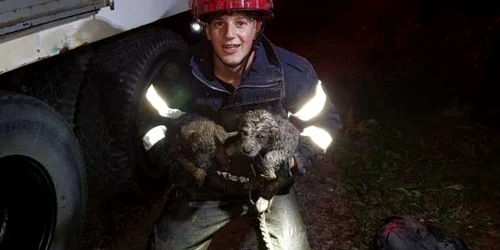 Sergentul major Ghermănescu Vlad a intrat în canal şi a reuşit să îl salveze 