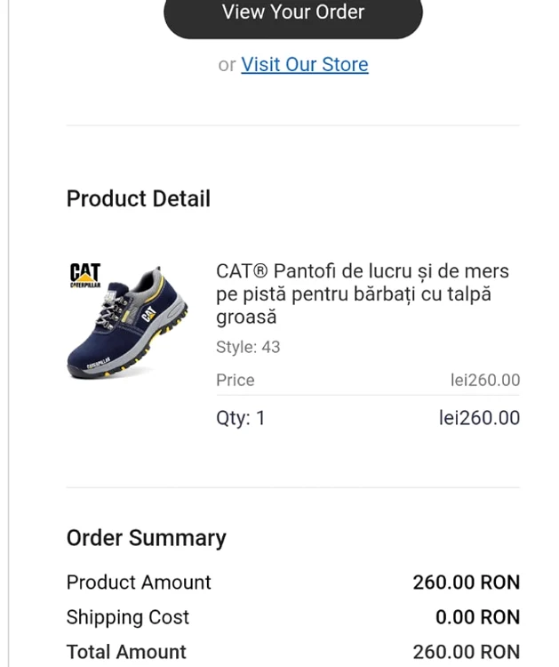 Pantofii comandați