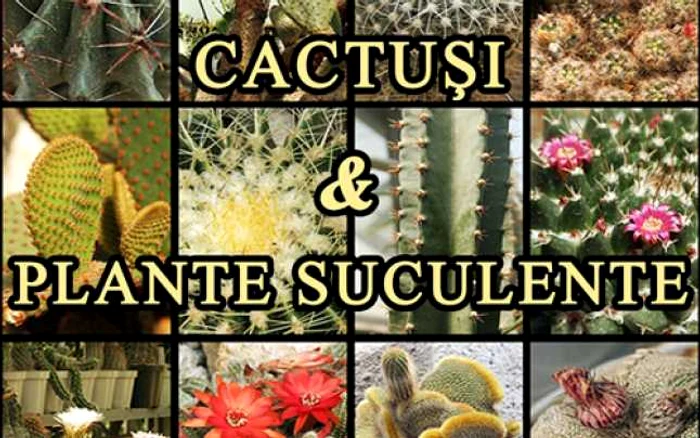 Manifestările vor debuta cu o expoziţie inedită "Cactuşi şi plante suculente“