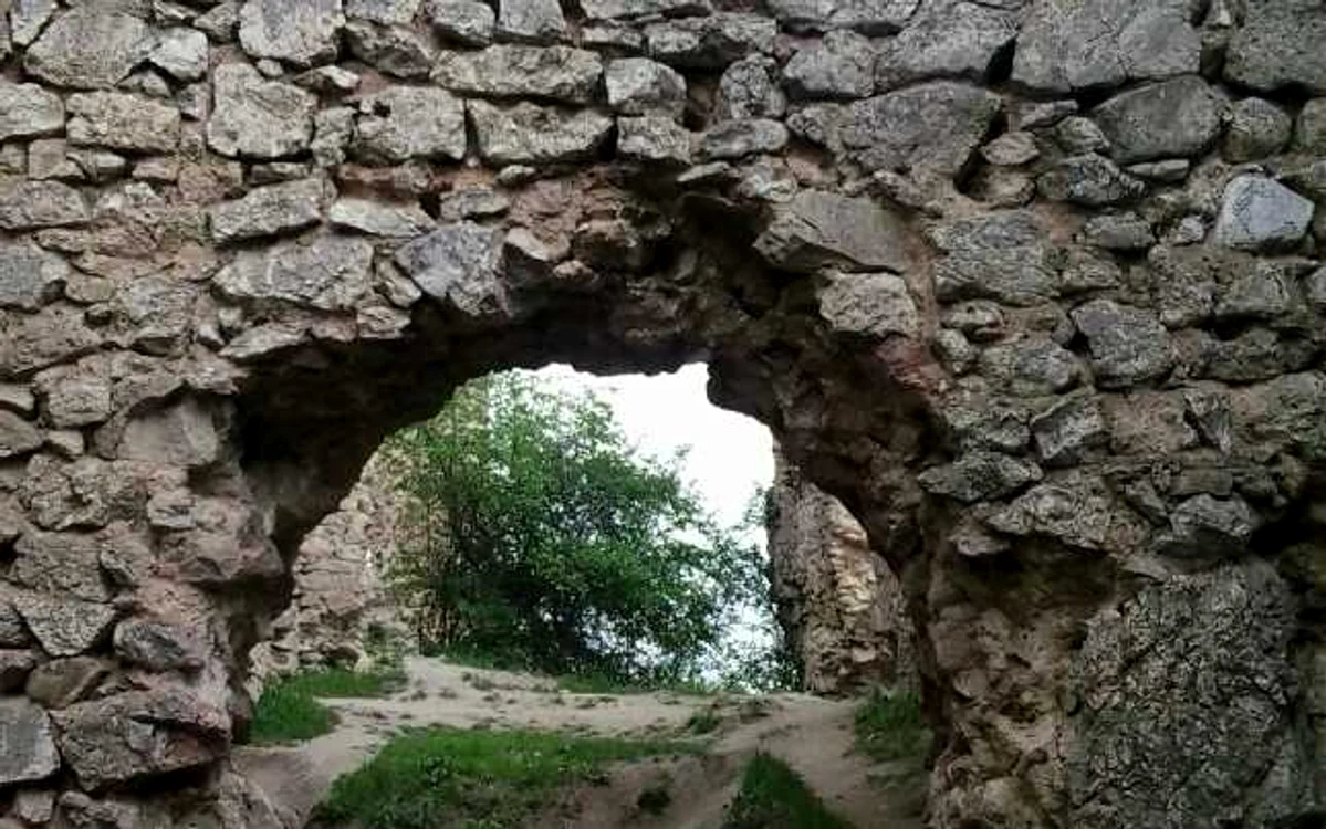 coltesti alba